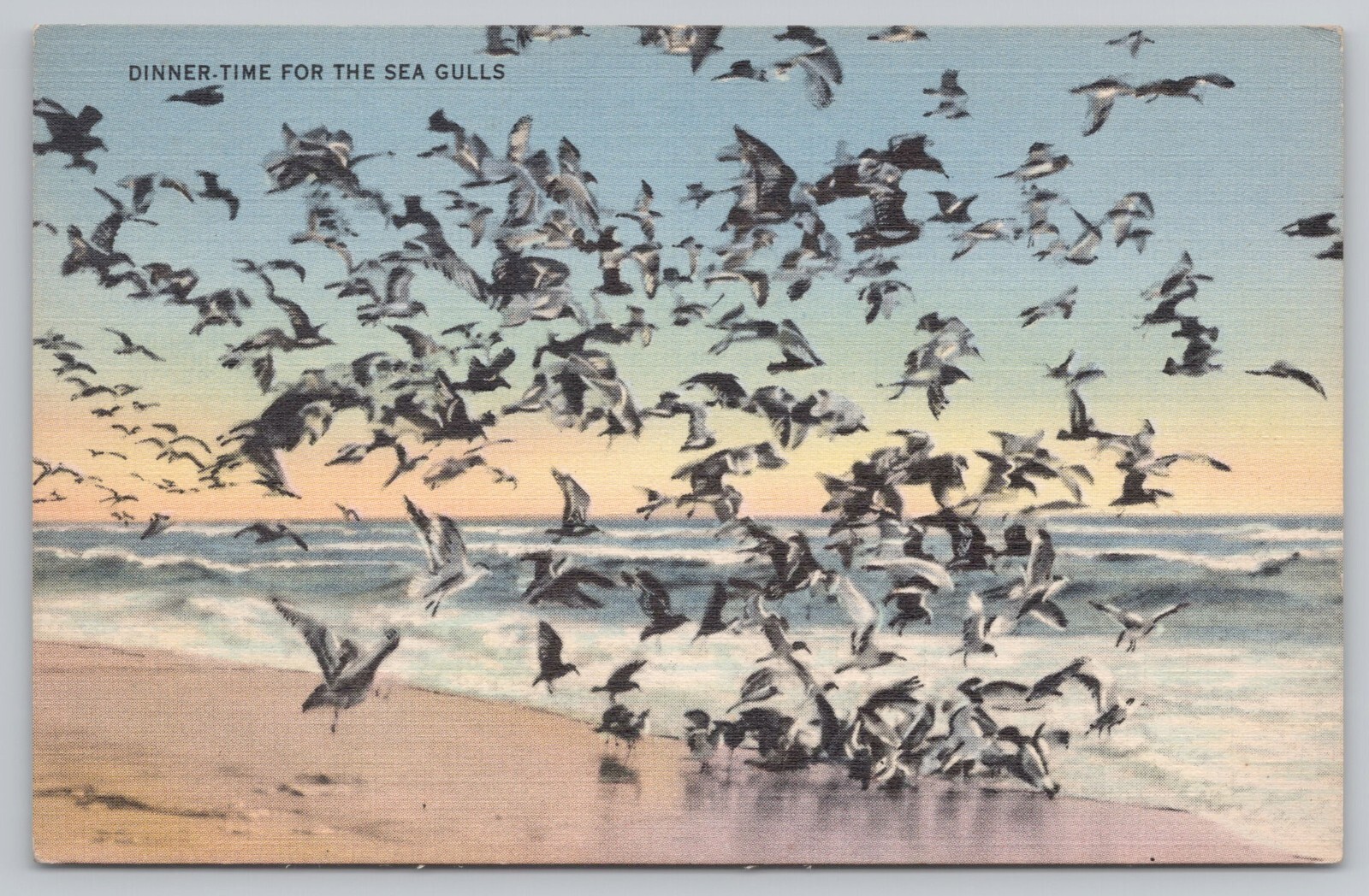 Postcard Dinner Time for the Sea Gulls UNP Linen Bird Flock Waves