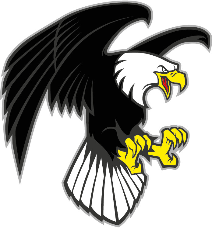 Cartoon Angry Eagle Mascot Wild Bird Car Bumper Sticker Decal 5\