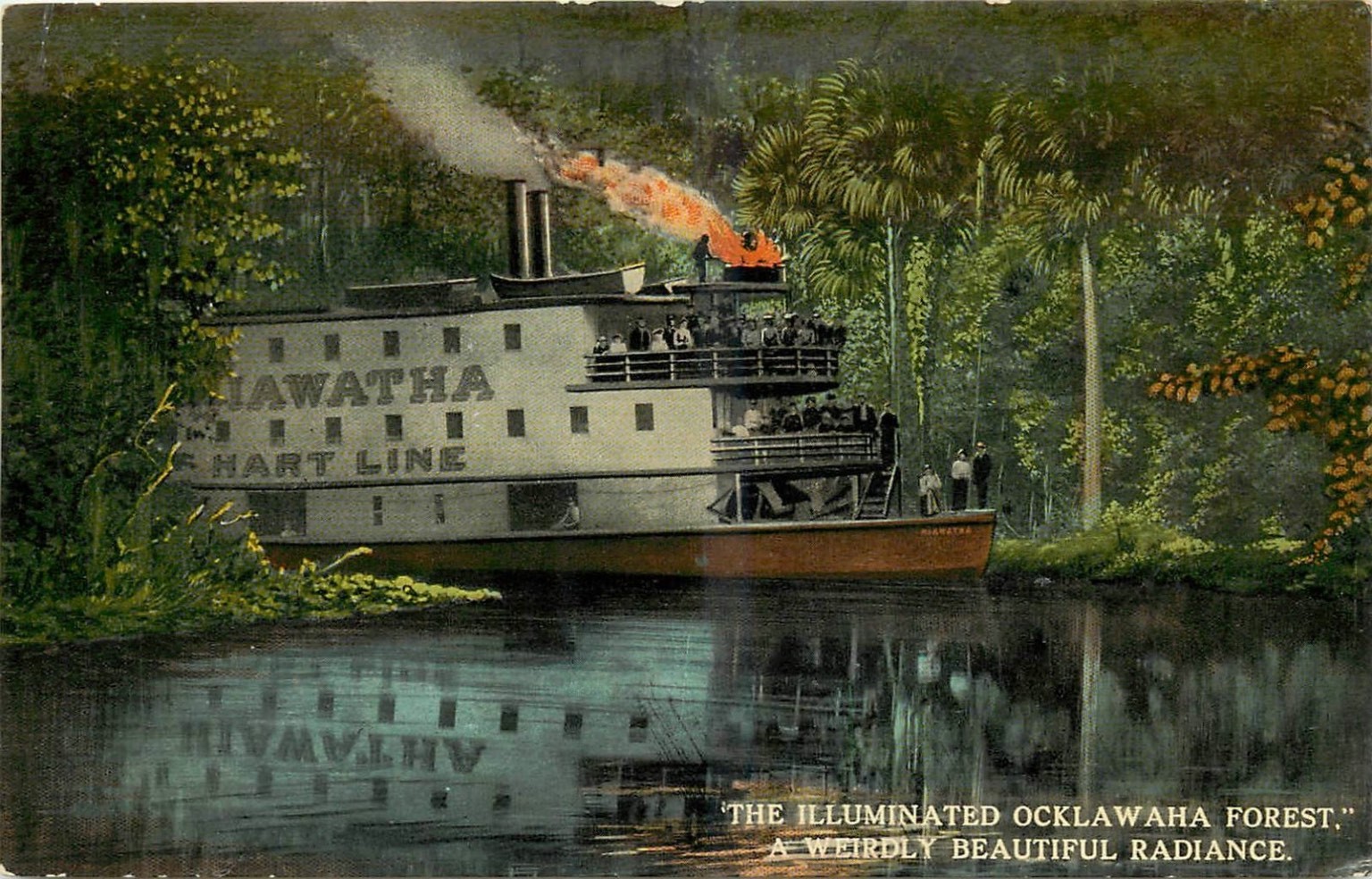 Hiawatha Steamer Ocklawaha River Florida Illuminated Forest Postcard c.1911