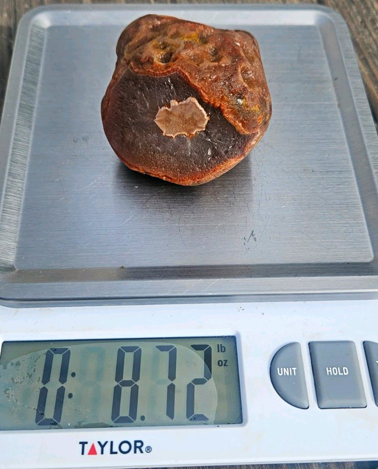 Lake Superior Agate Rough Brown/Red Banded 8.72 oz