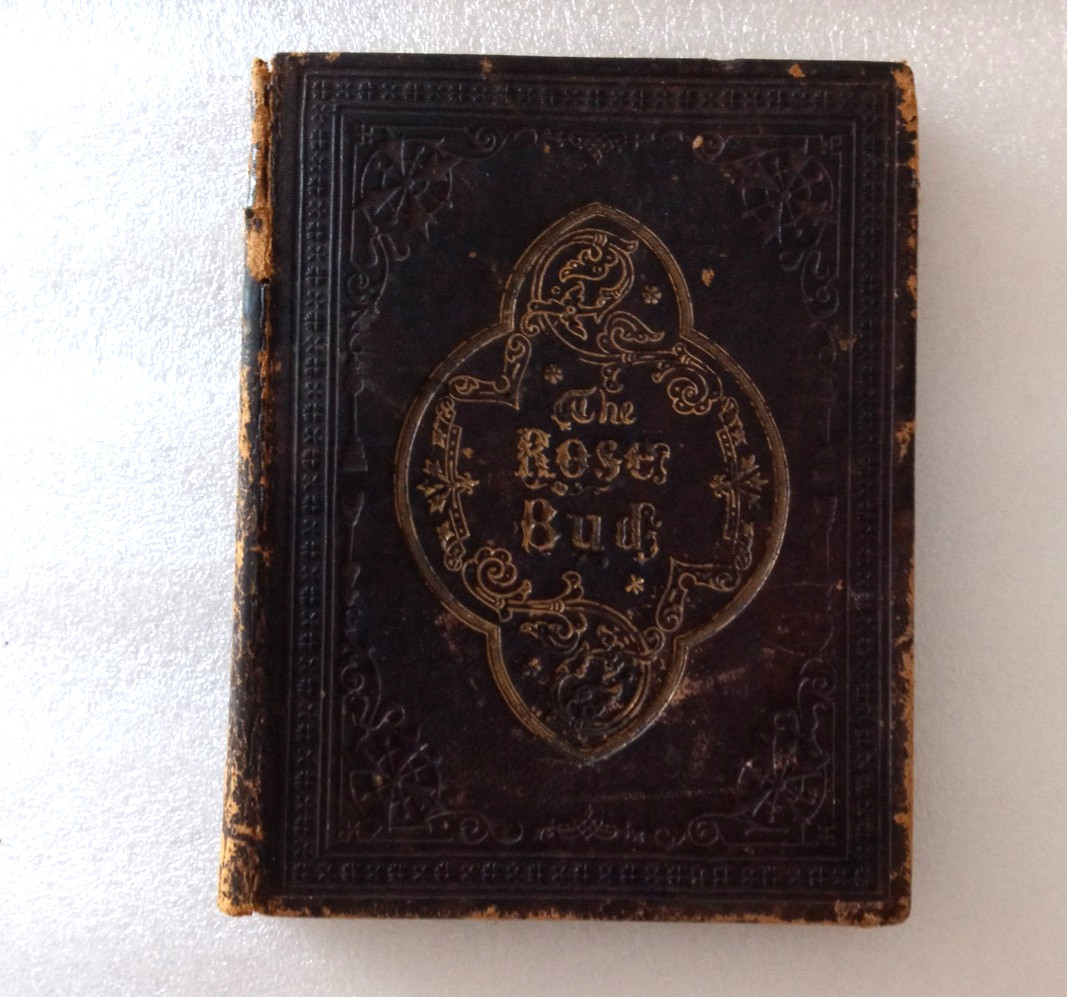 Autograph Rose Bud Album Entries 1868-1887 Mary Egan antique vintage