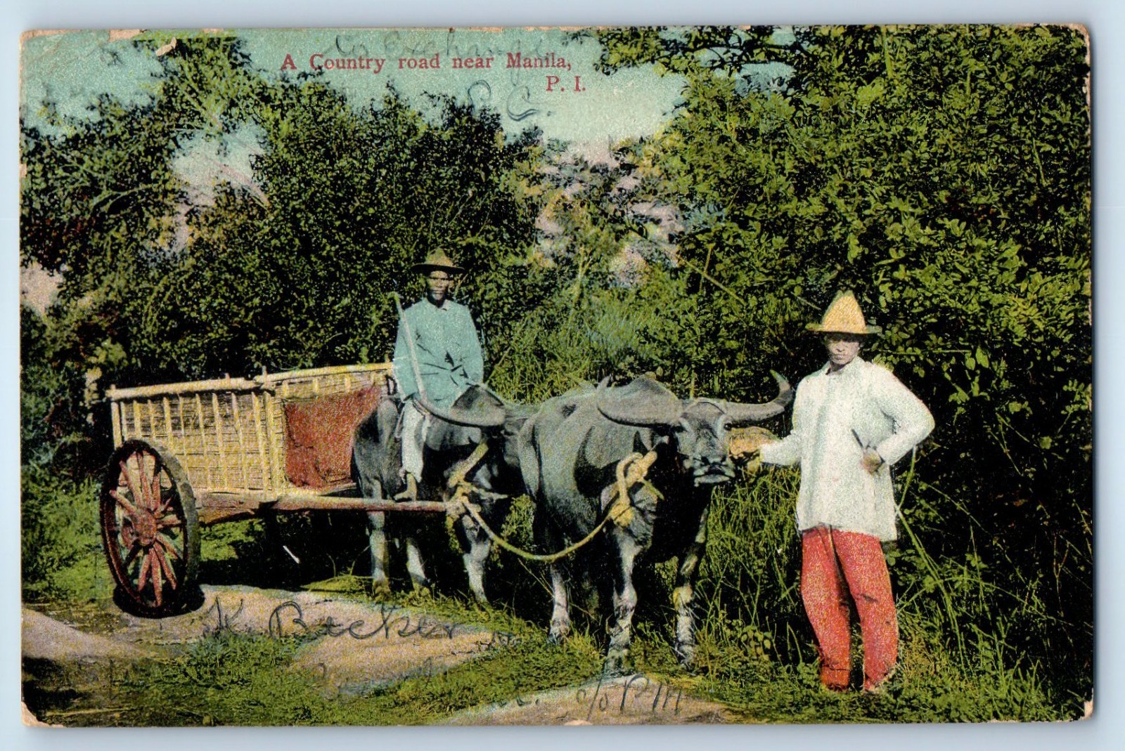 Philippines Postcard A Country Road Near Manila 1909 Olongapo Zambales