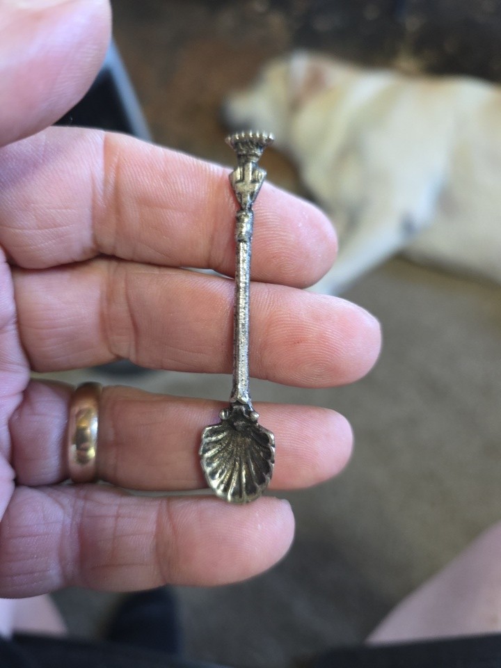 VINTAGE ITALIAN SALT CELLER SPOON SILVER-PLATED