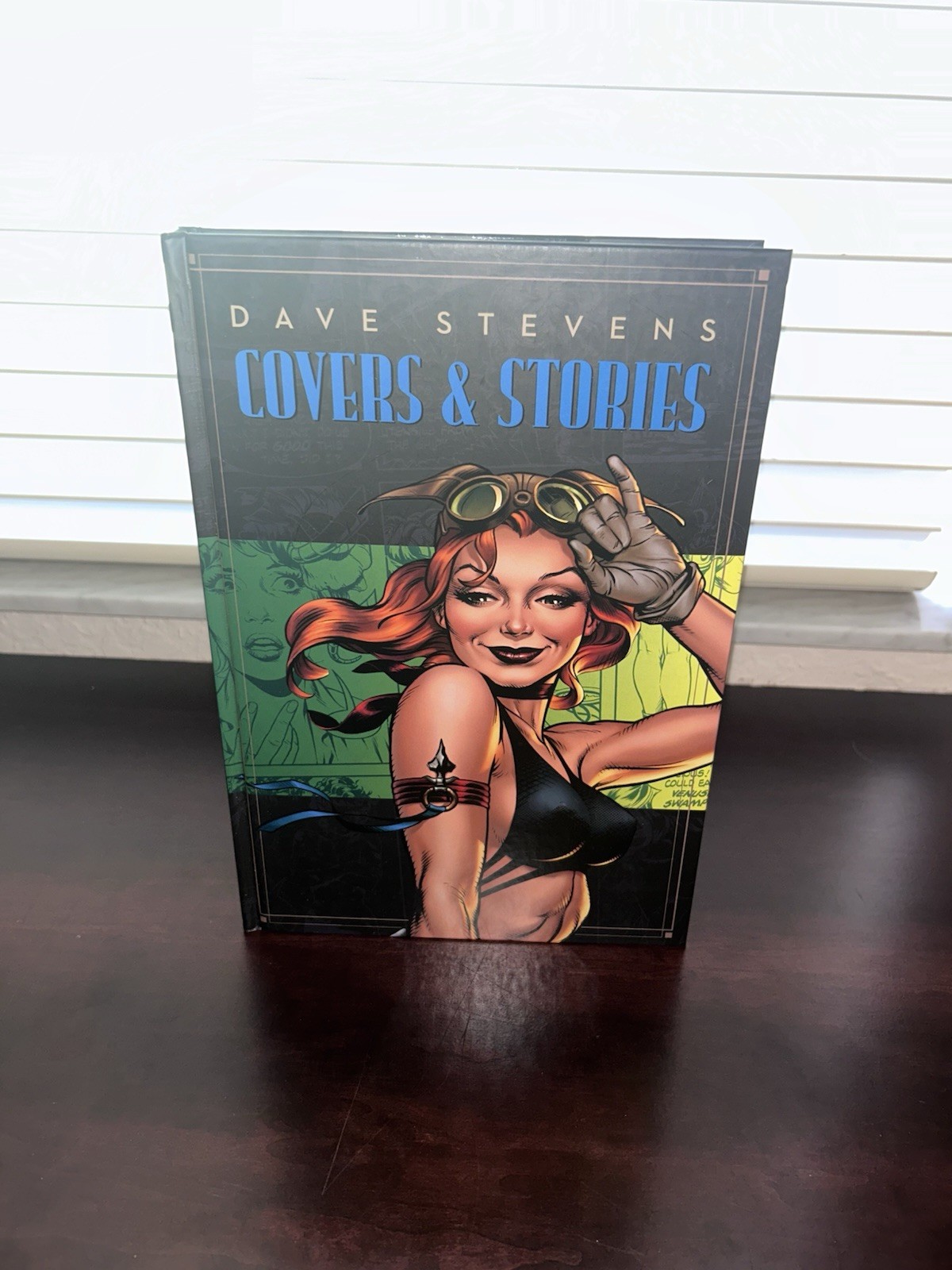 Dave Stevens: Covers and Stories Hardback Hardcover 1st Edition IDW