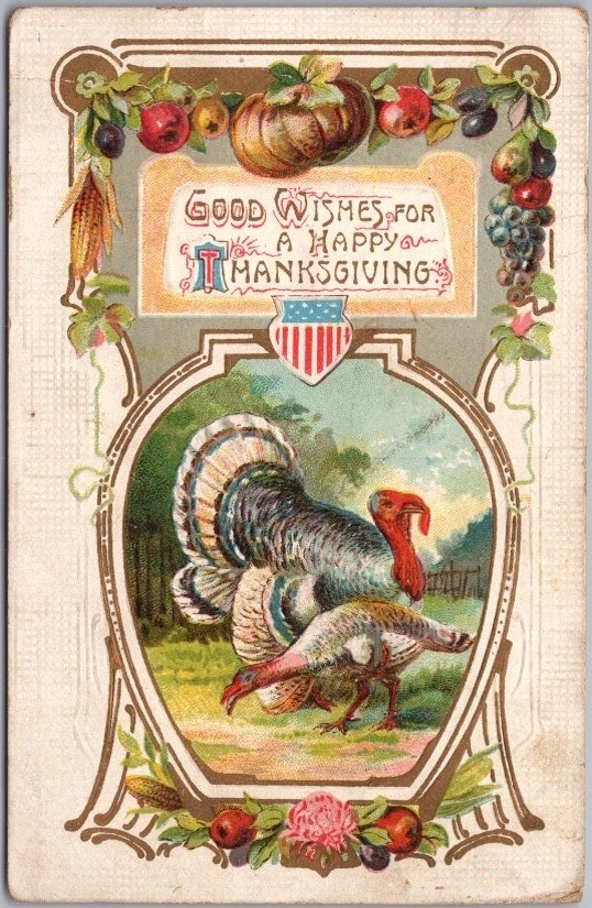 Vintage 1910s THANKSGIVING Embossed Postcard Turkey Couple / Fruit Border
