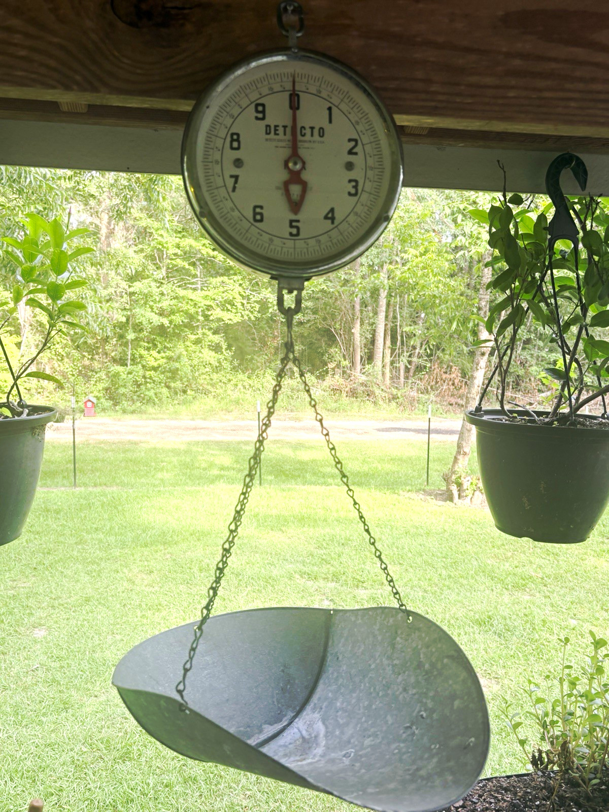 Detecto Hanging Dial Scale w/ Chain & Metal Pan Basket, 20 lb Capacity.
