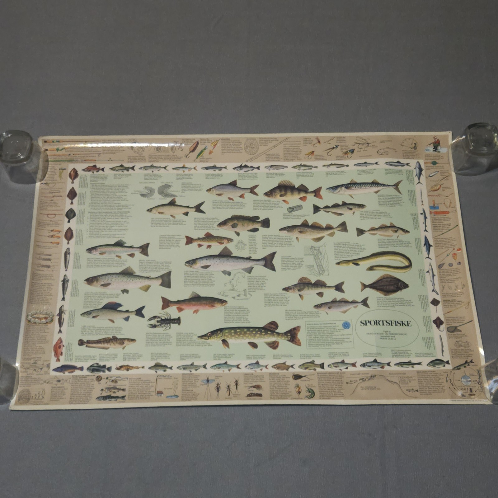 Vintage Fishing Poster 1976 Norwegian Sport Fishing Fish Species Poster