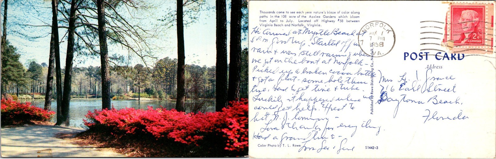 The Azalea Gardens, VA Postcards used 52889