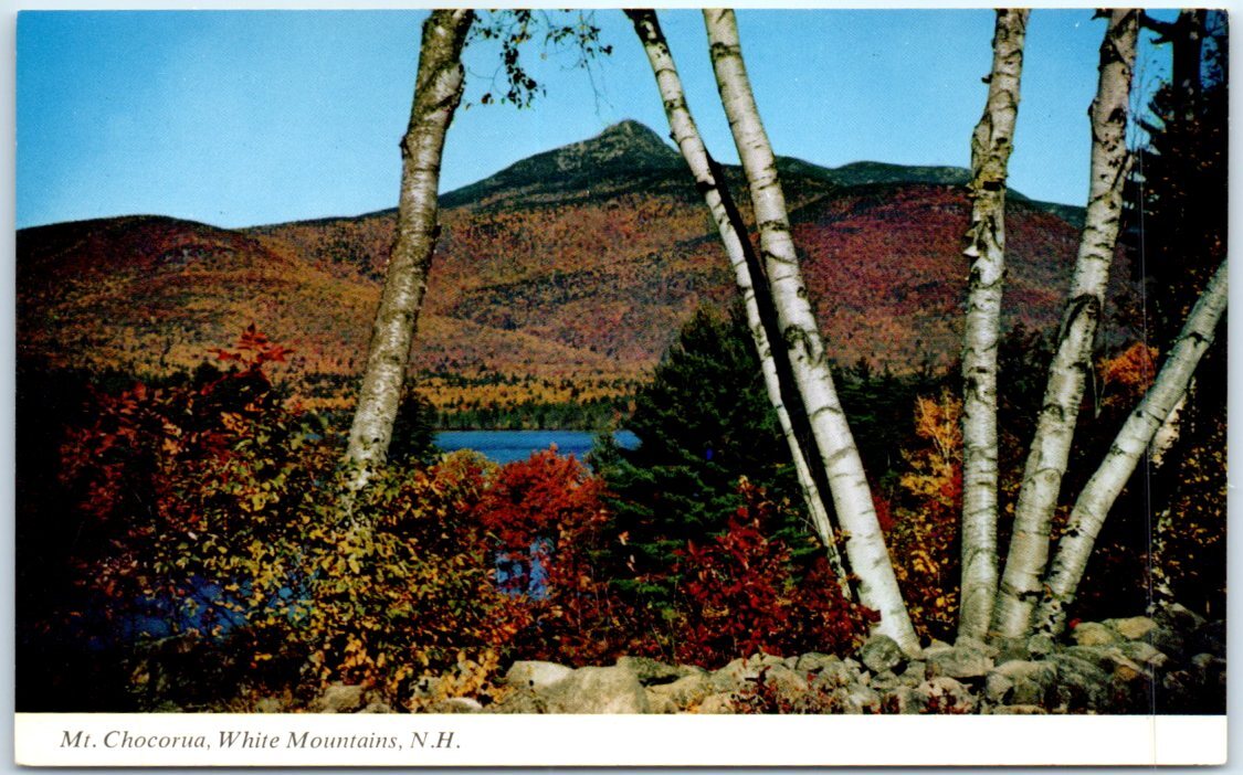 Mount Chocorua, White Mountains - New Hampshire P-75969