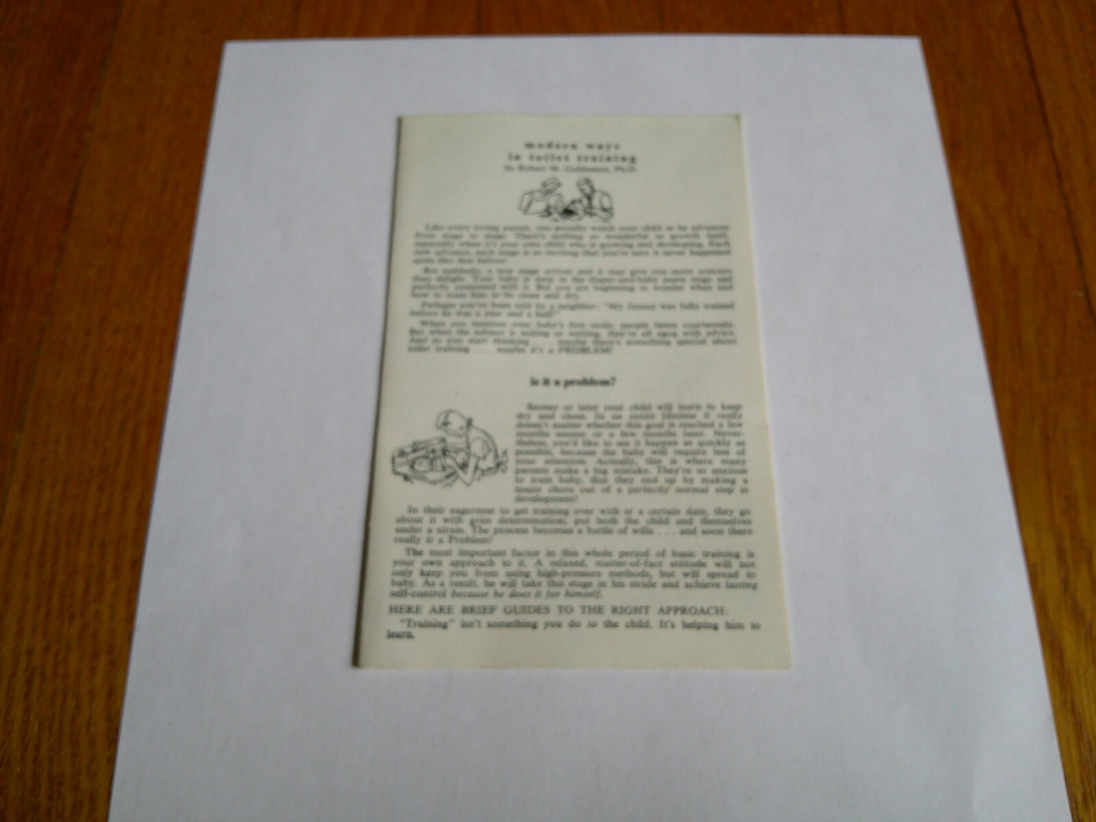 Vtg Kleinerts Ad Baby Pants Softex Toilet Training Brochure 1950\'s Info Guide