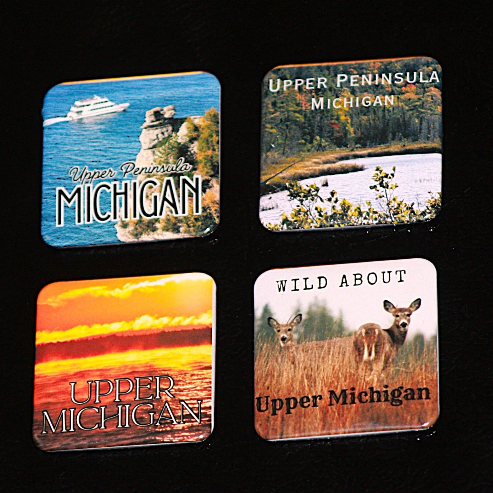 Upper Michigan Photograph Souvenir Magnet Gift Set Original Scenery Wildlife