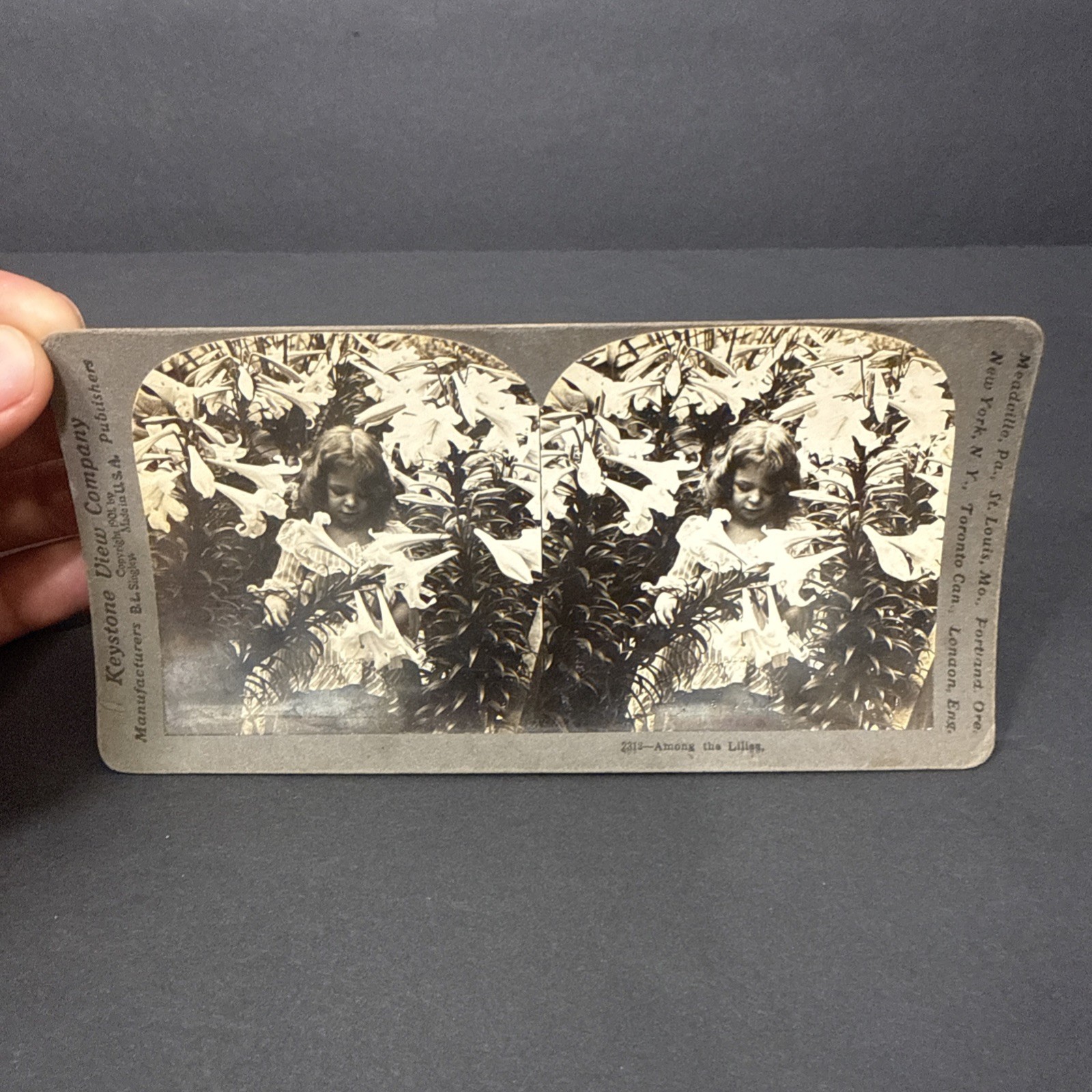 Antique “ Among The Lillies “ Keystone View Company Stereo View Photo
