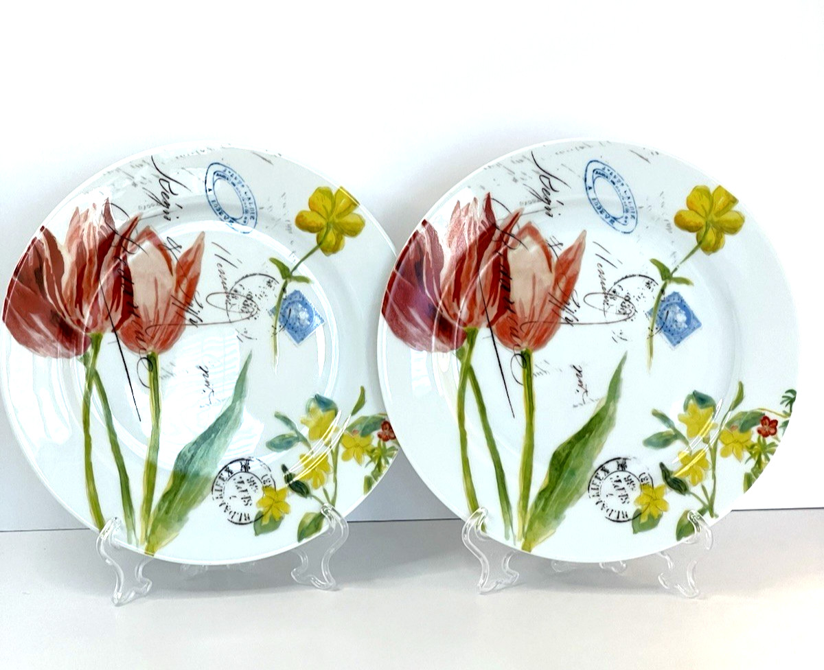 Bernardaud Limoges France Jardin des Fleurs Salad/Dessert Plates (2) RARE HTF