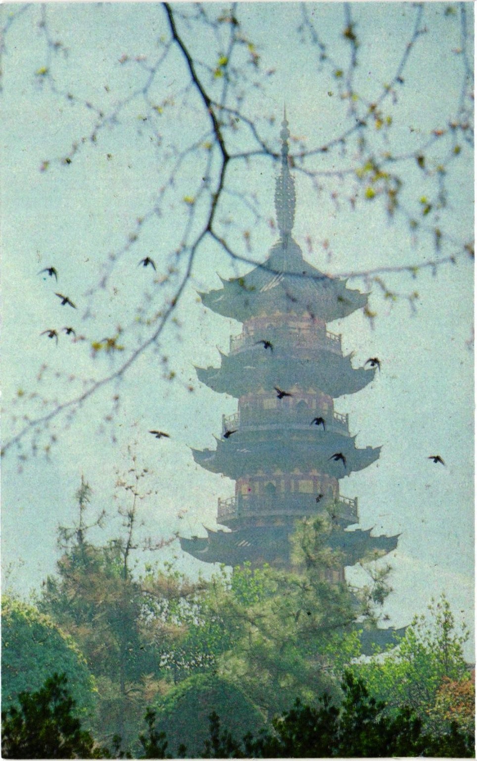 Ancient Longhua Pagoda Shanghai China Birds West Lake Photography Press Postcard Ancient Longhua Pagoda Shanghai China Birds West Lake Photography Press Postcard