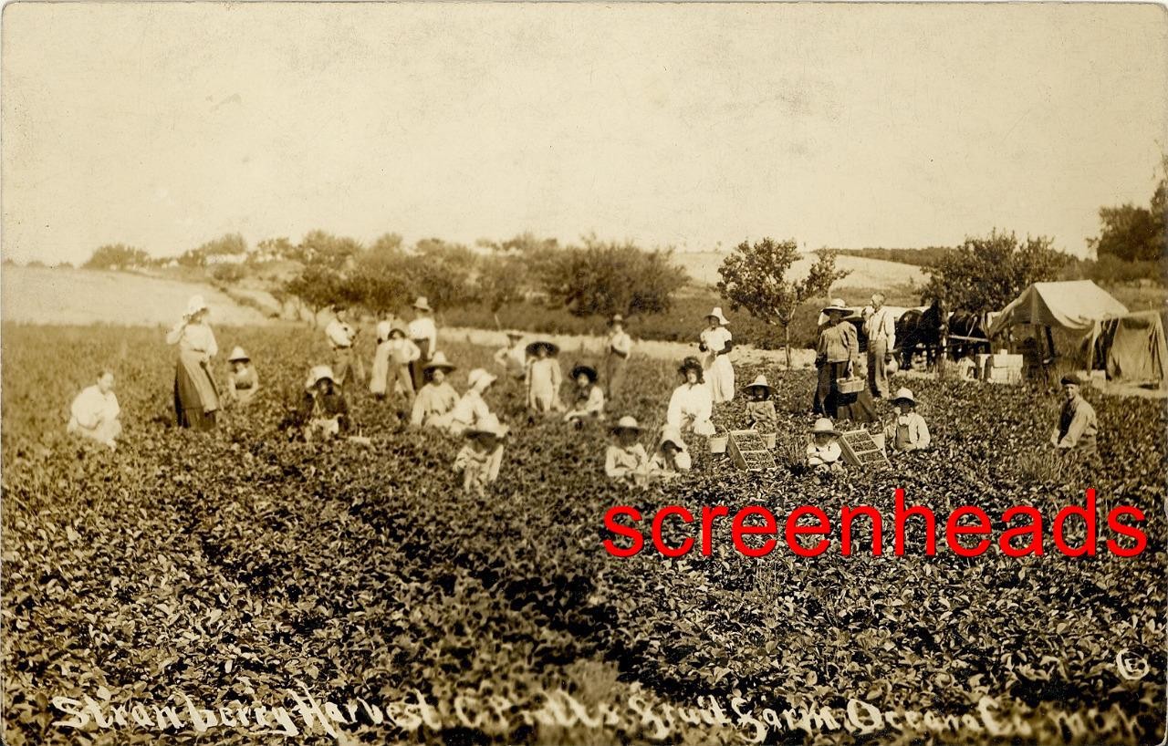 C1910 RPPC PHOTO \