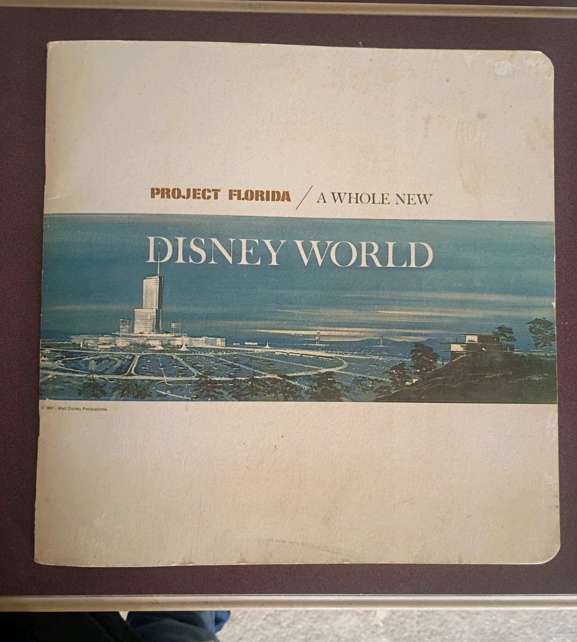 Vintage ~ Very Rare 1967 Project Florida A Whole New Disney World 20 Page Book