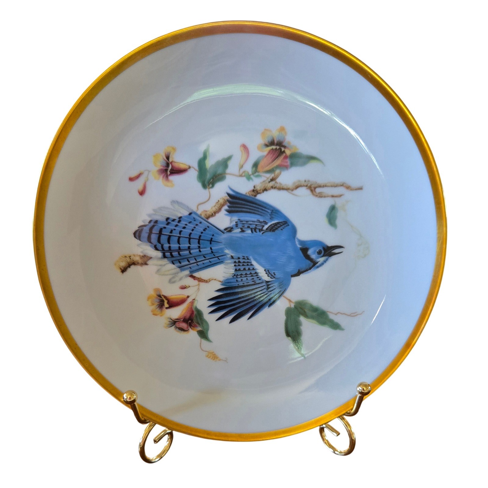 Hutschenreuther Selb Bavaria Blue Jay Audubon Collector Plate Gold Gilt Rim 8\