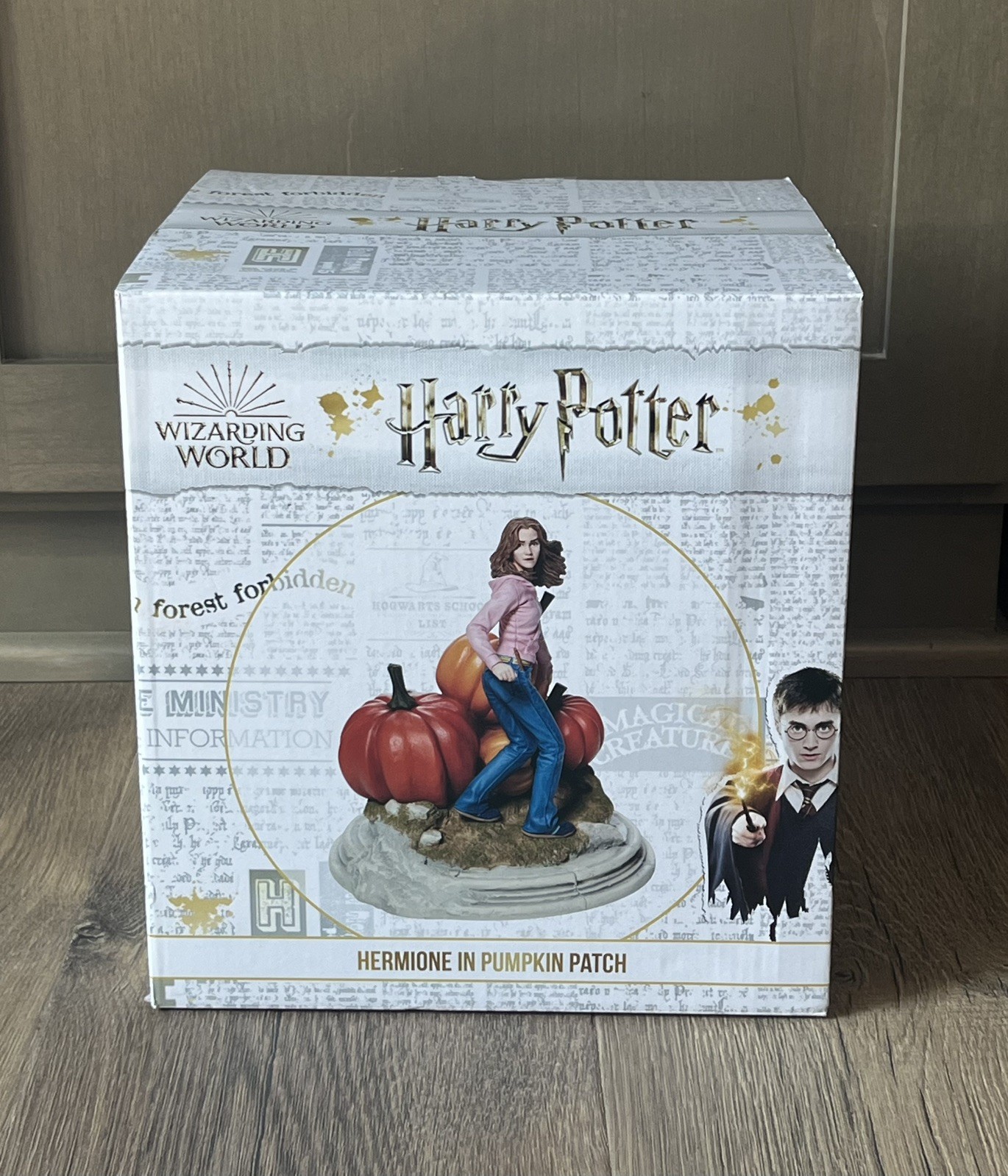 Enesco Harry Potter Hermione Granger In Pumpkin Patch Figurine # 6009017 - NEW