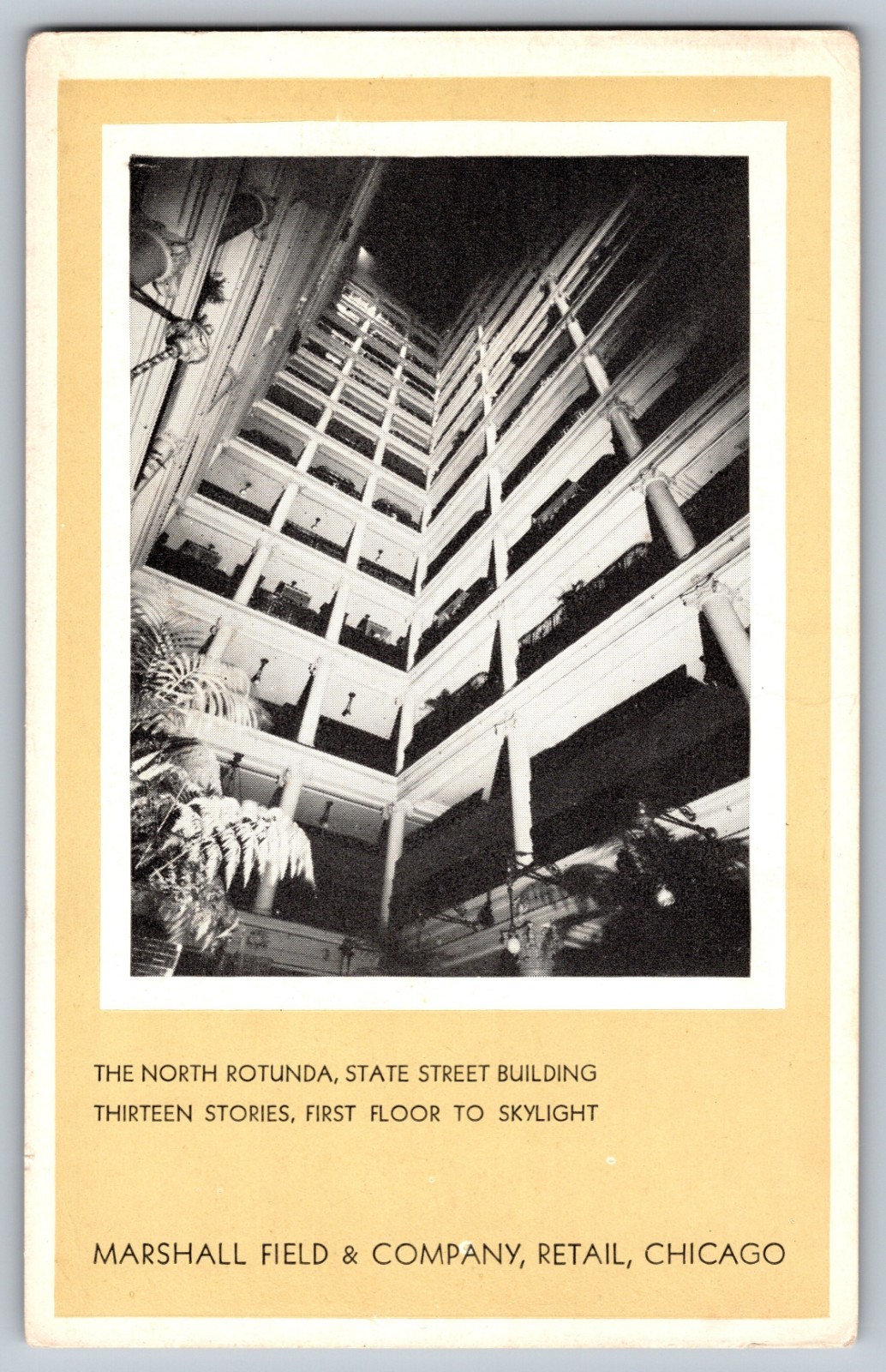 CHICAGO IL NORTH ROTUNDA STATE STREET BUILDING UNUSED unp vtg 6x4 Postcard B03