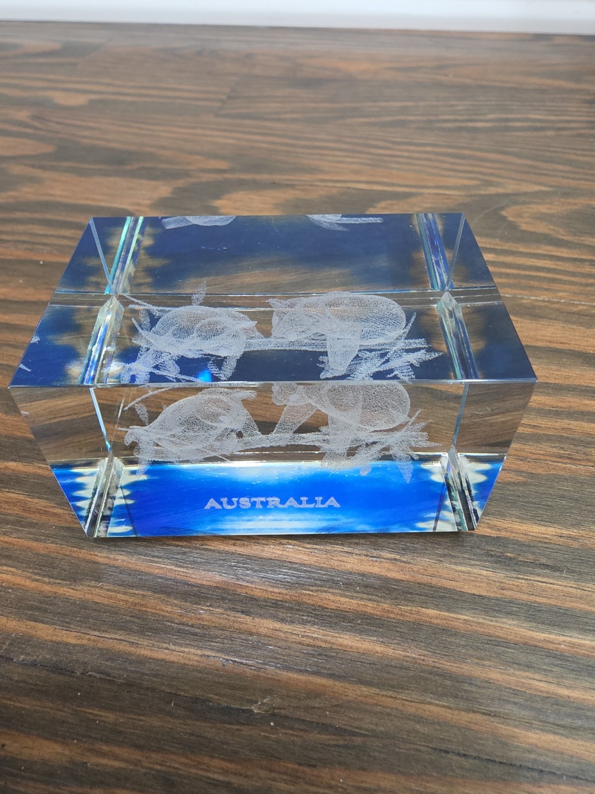 Laser Picture PAPERWEIGHT of KOALA Bears Australia Laser Picture PAPERWEIGHT of KOALA Bears Australia