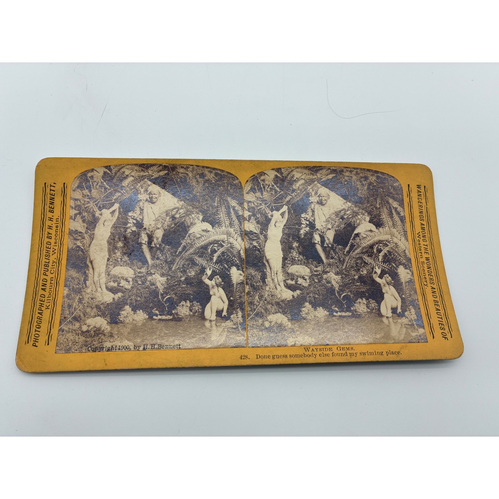 1900 HH Bennett Stereoview Wayside Gems 428 Black Americana Stereograph Card