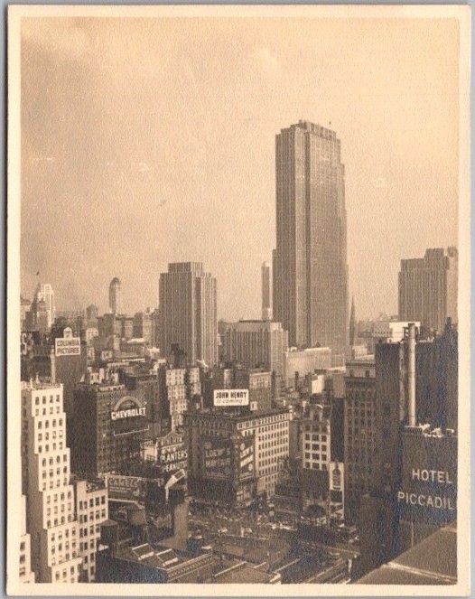 TIMES SQUARE / New York City Snapshot 3.5\