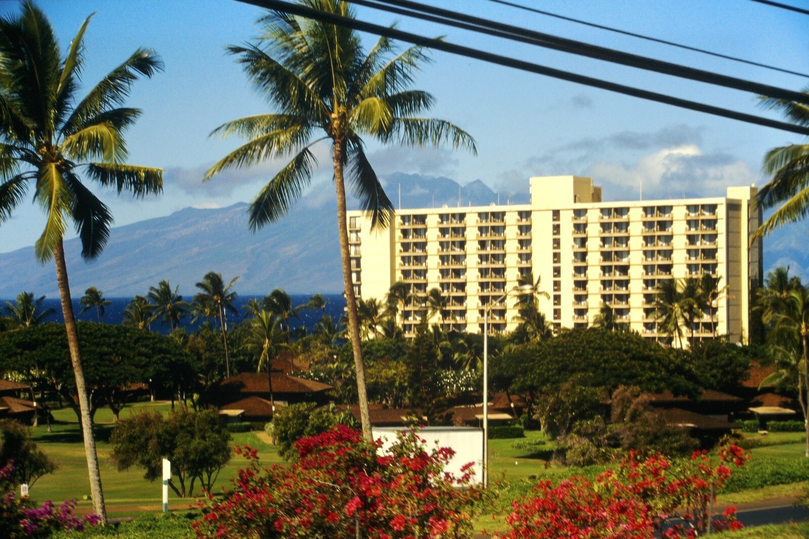 Original 1996 35mm Slide, \ Original 1996 35mm Slide, \