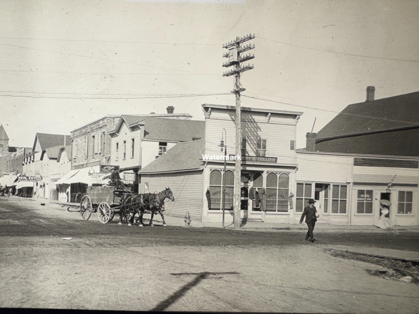 Antique Photograph Horse Drawn Carriage / Americana USA