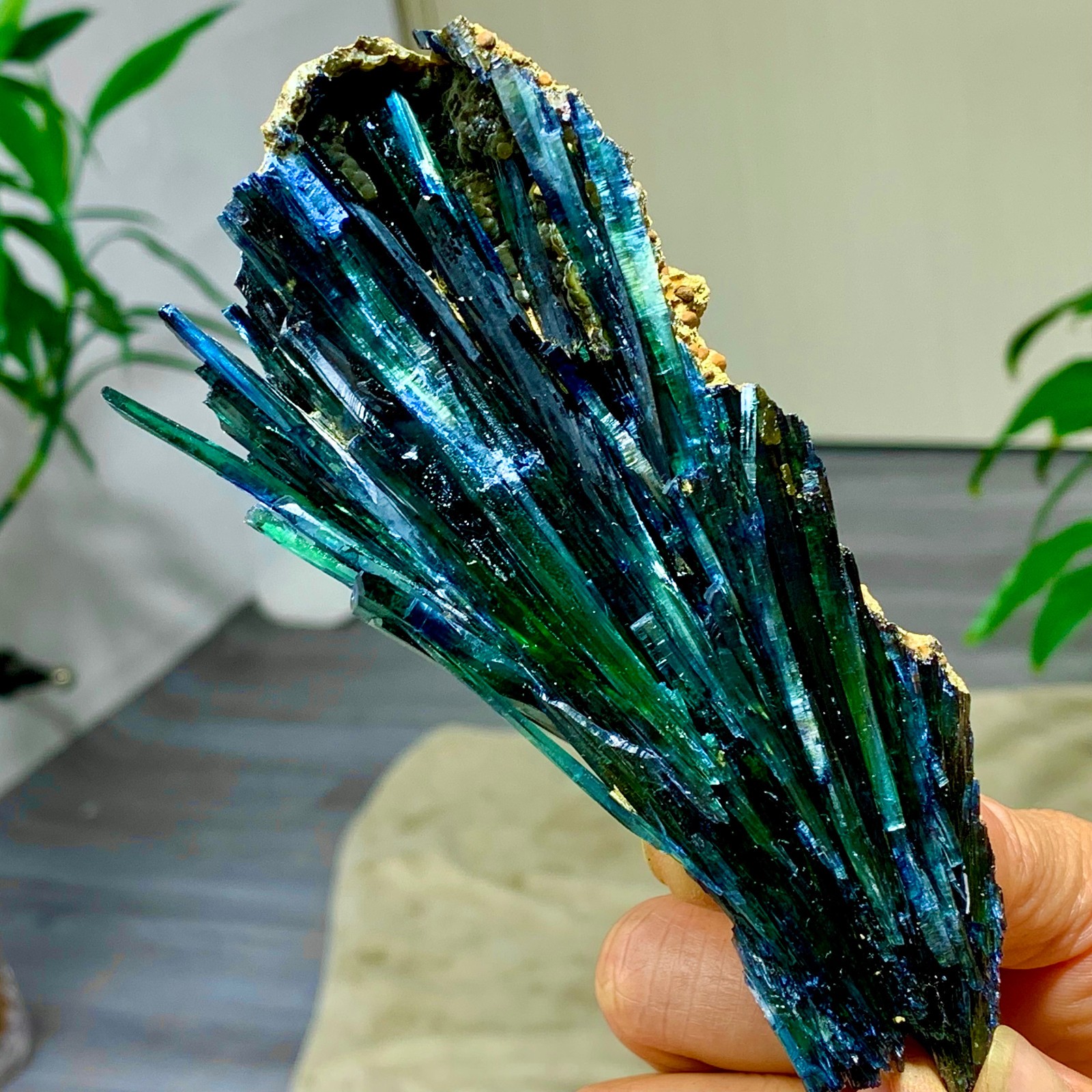 159 G Natural Vivianite ludlamite Quartz Crystal Mineral Samples /Brazil 159 G Natural Vivianite ludlamite Quartz Crystal Mineral Samples /Brazil