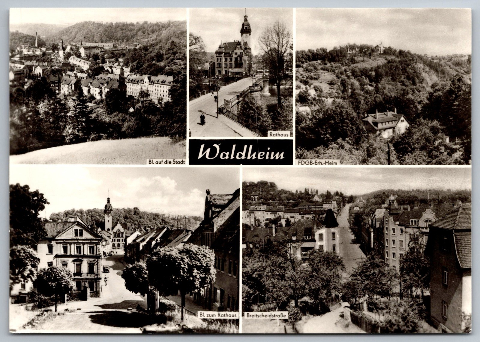 Waldheim Germany City Views Including Rathaus and Photo Postcard