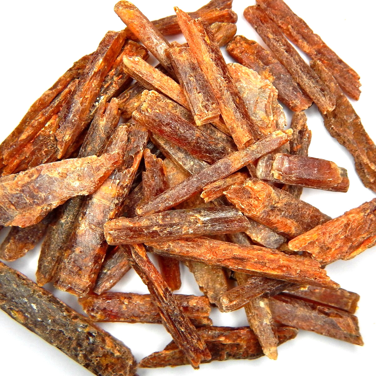 100ct Lot of Gemmy Red Orange Kyanite Natural Mined Unheated Rough Crystal Spars