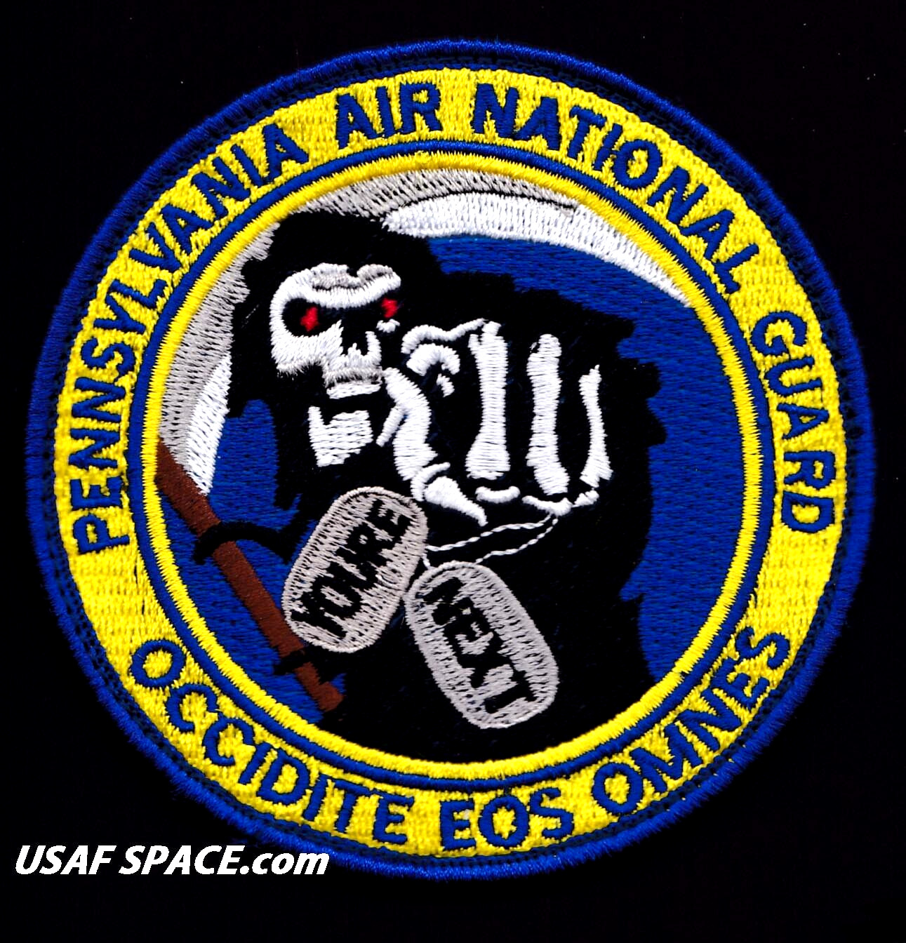 USAF 103rd ATTACK SQ -103 ATKS- MQ-9 REAPER UAV -PA ANG-ACC- ORIGINAL 4\