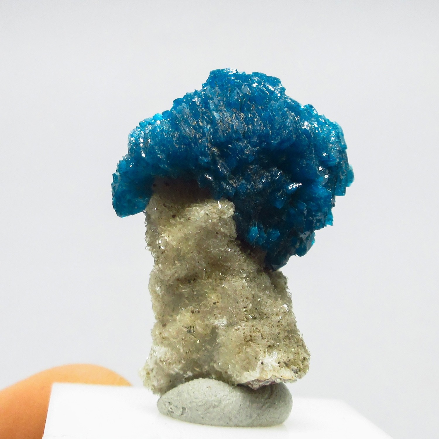Big rosette of Cavansite on matrix (non precious natural stone) # 4259 Big rosette of Cavansite on matrix (non precious natural stone) # 4259