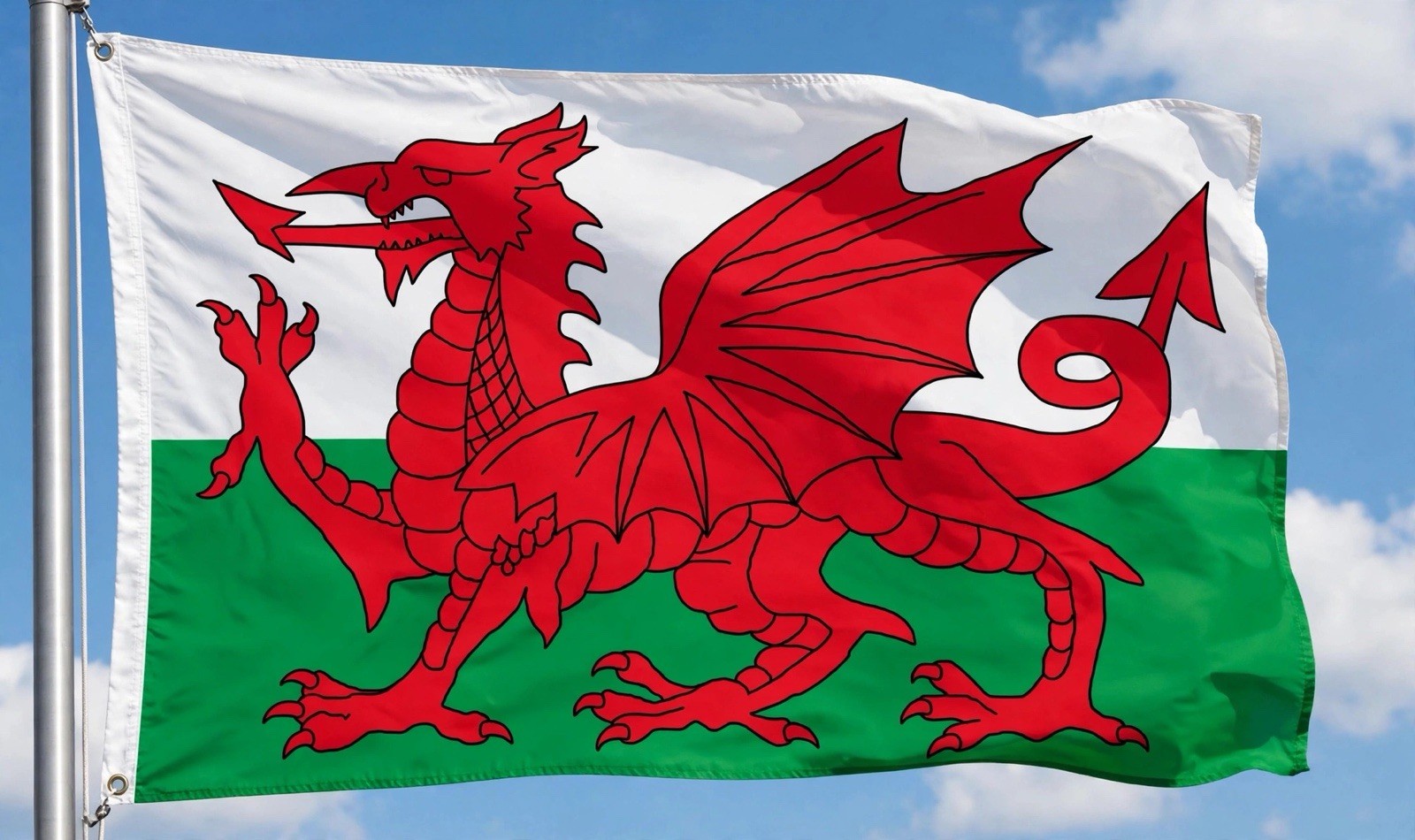 WALES FLAG 8X5 FEET HUGE welsh Dragon CARDIFF WREXHAM Swansea St Davids UK FLAGS