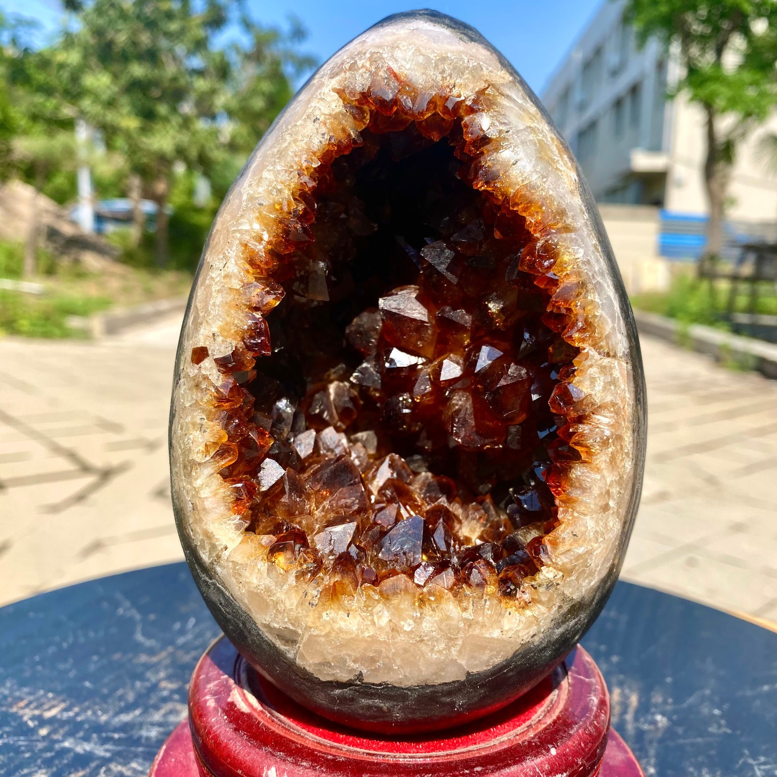 4.04LB TOP Natural citrine geode quartz cluster crystal Dinosaur egg healing