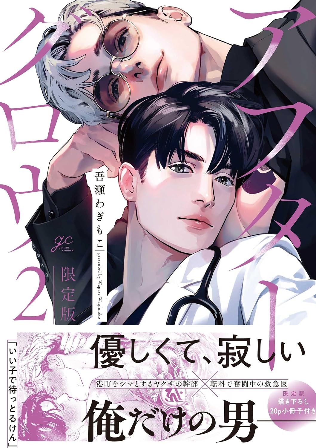 Afterglow Vol.2 Limited Edition Booklet Wagase Wagimoko Japanese Yaoi BL NEW