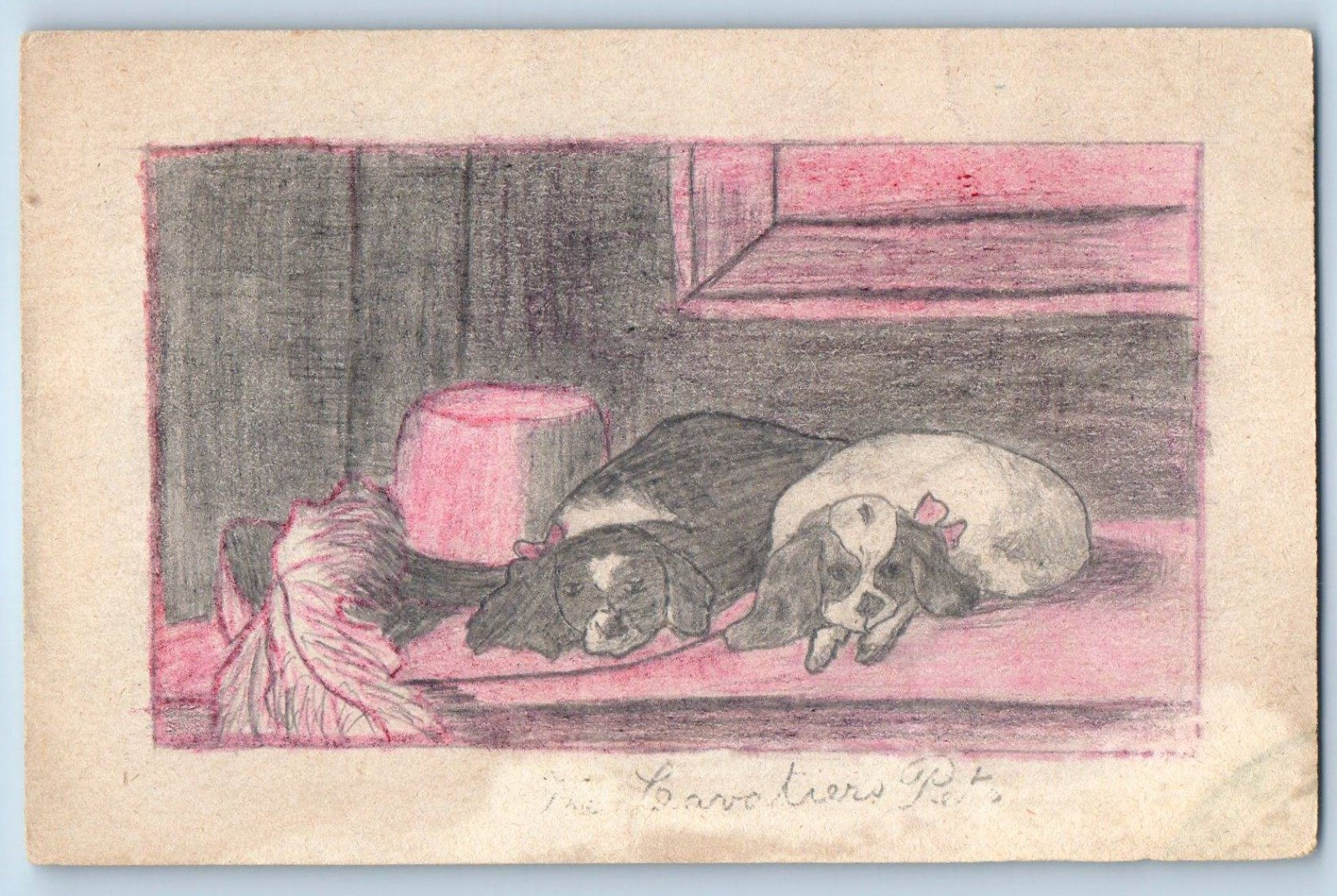 c1905 Two Cute Dogs Hand Drawn Art Animals Posted Antique Postcard
