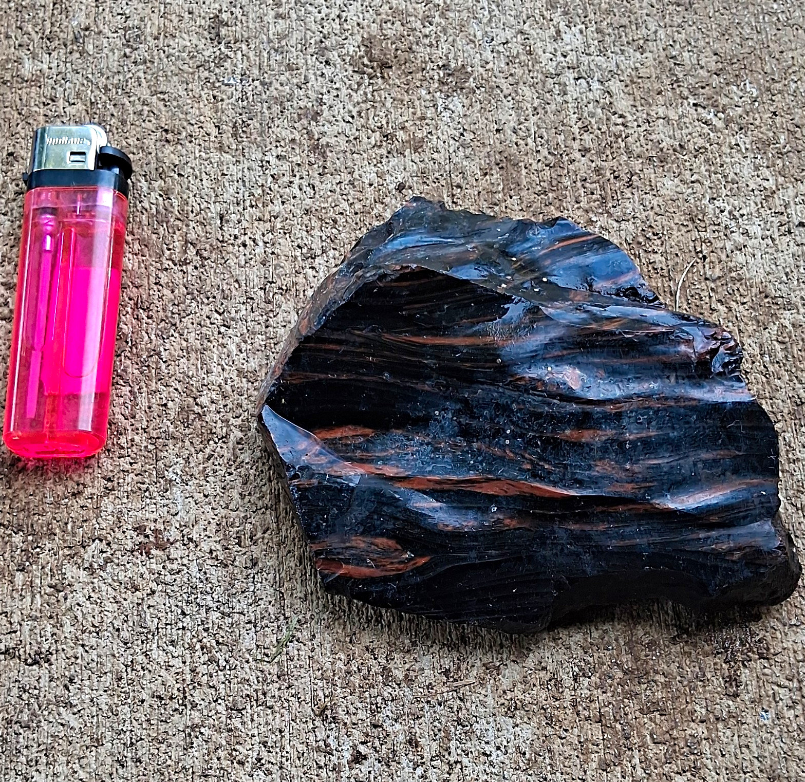 Polished Black & Brown Petrified Wood Slab Fossil Specimen Display Piece