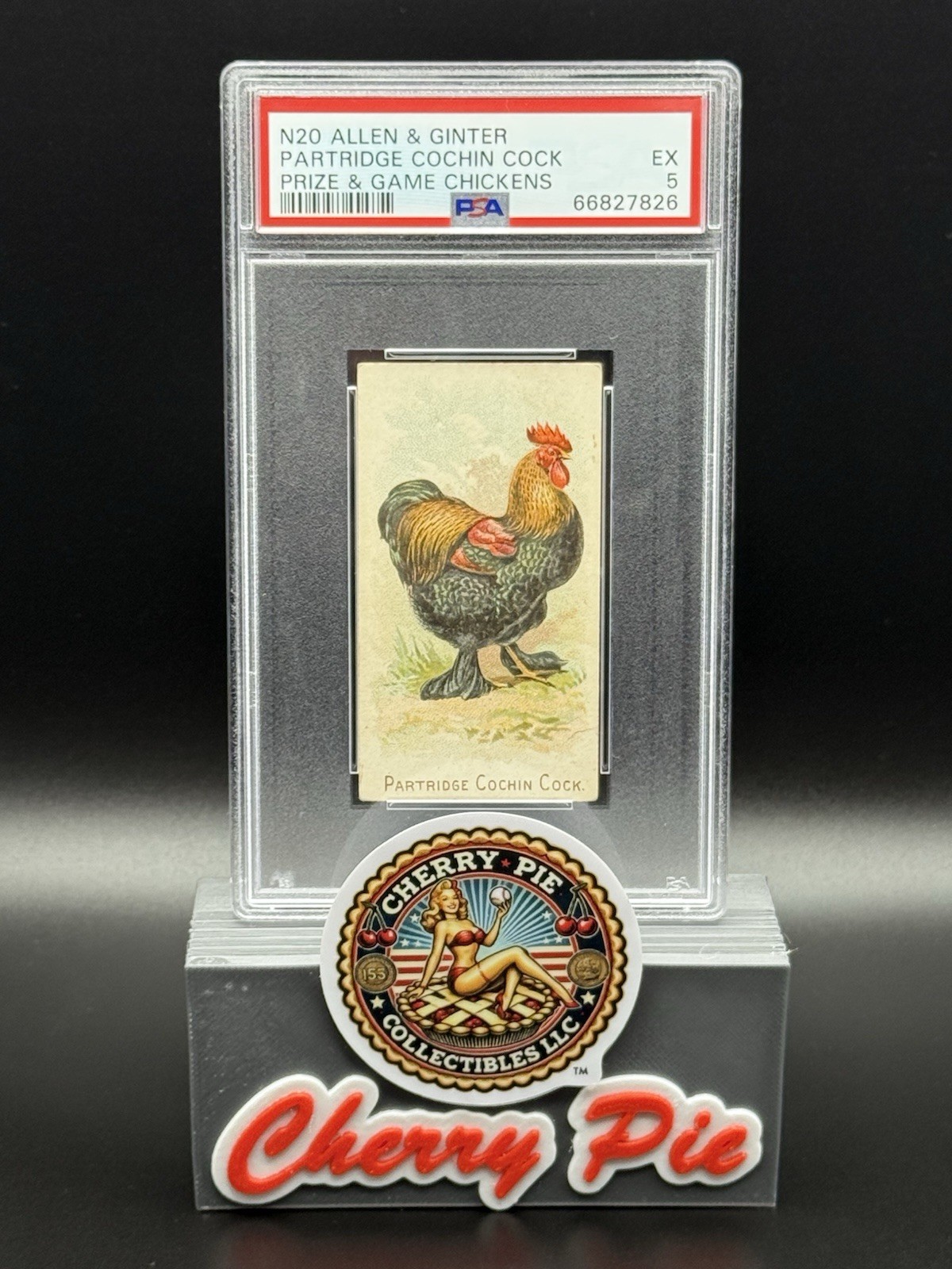 1891 N20 Allen & Ginter Prize & Game Chickens PARTRIDGE COCHIN COCK PSA 5 EX