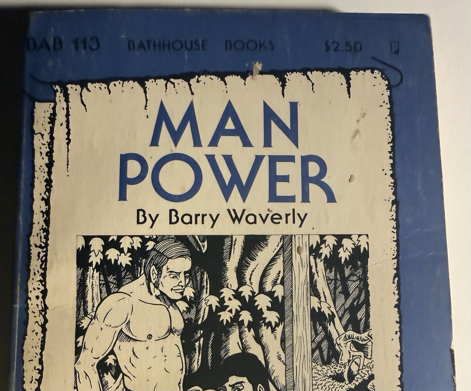 MAN POWER -1978 BARRY WAVERLY BATHHOUSE  BOOKS -VINTAGE PULP NOVEL GAY INTEREST