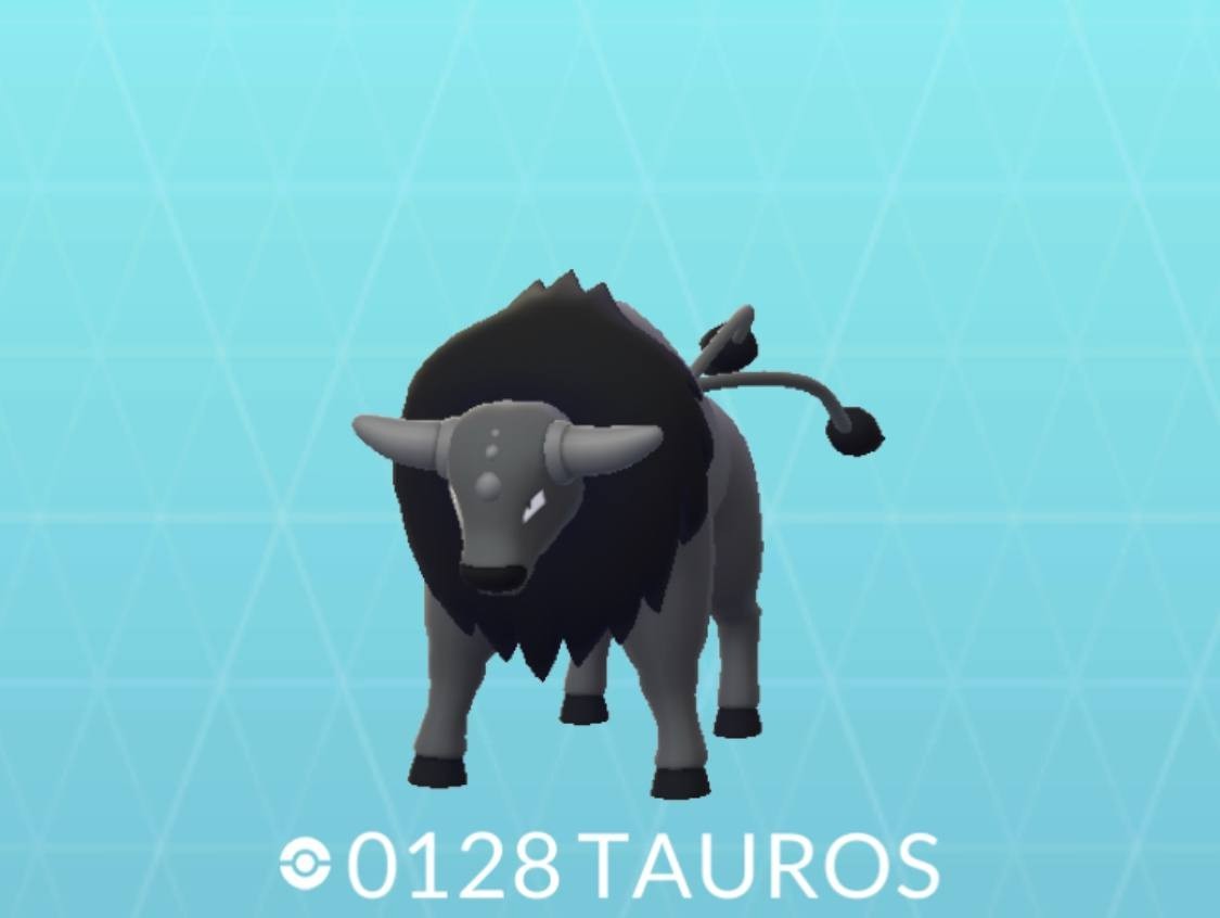 Paldean Tauros Combat Aqua Blaze Breed - Pokemon Go