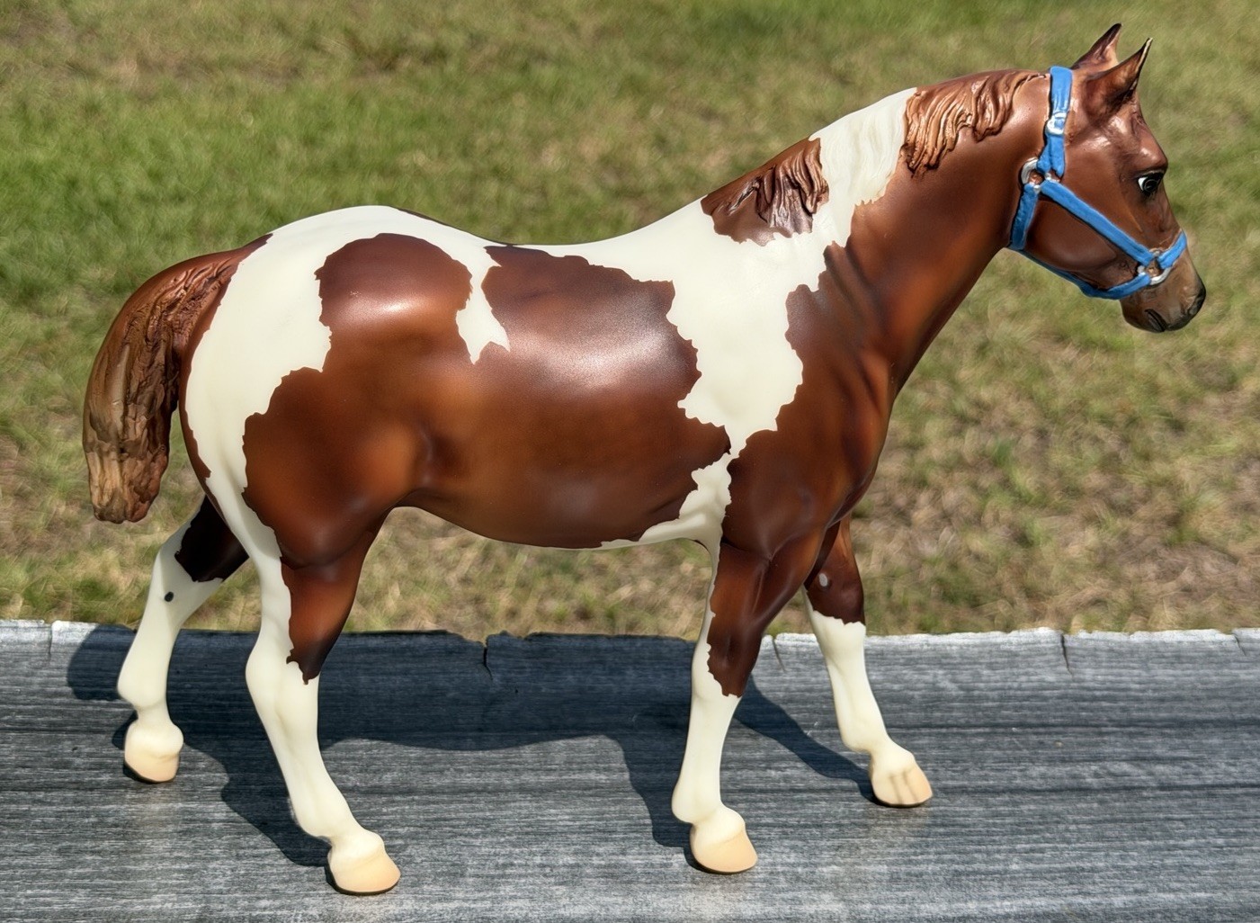 Breyer BreyerFest 2009 Pinto Surprise Quarter Horse Gelding Special Run