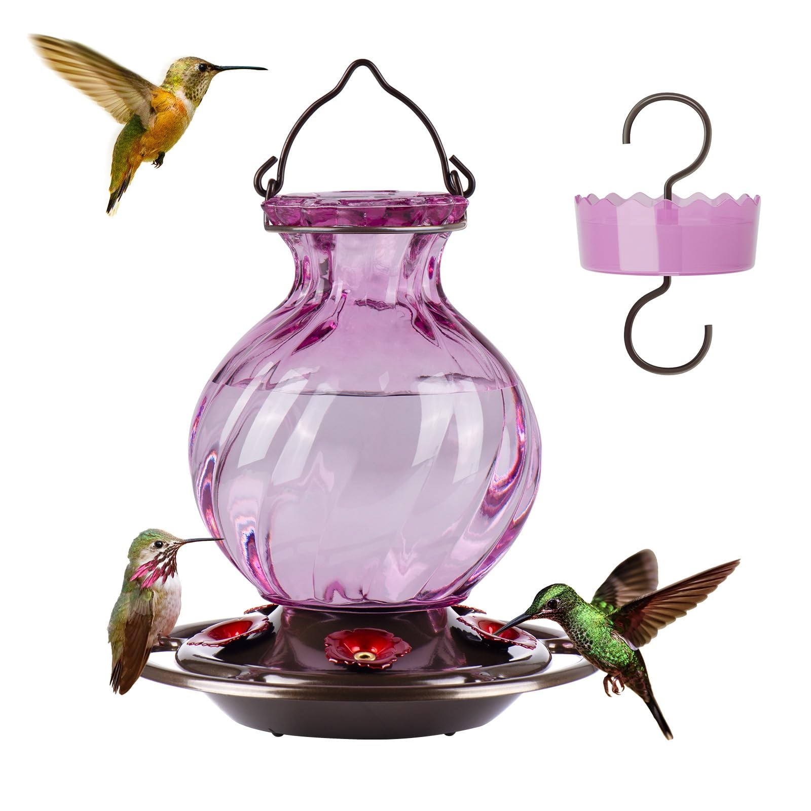 Auslar Glass Hummingbird Feeders for Outdoors Hanging, Purple, 26 Oz | Hummin... Auslar Glass Hummingbird Feeders for Outdoors Hanging, Purple, 26 Oz | Hummin...