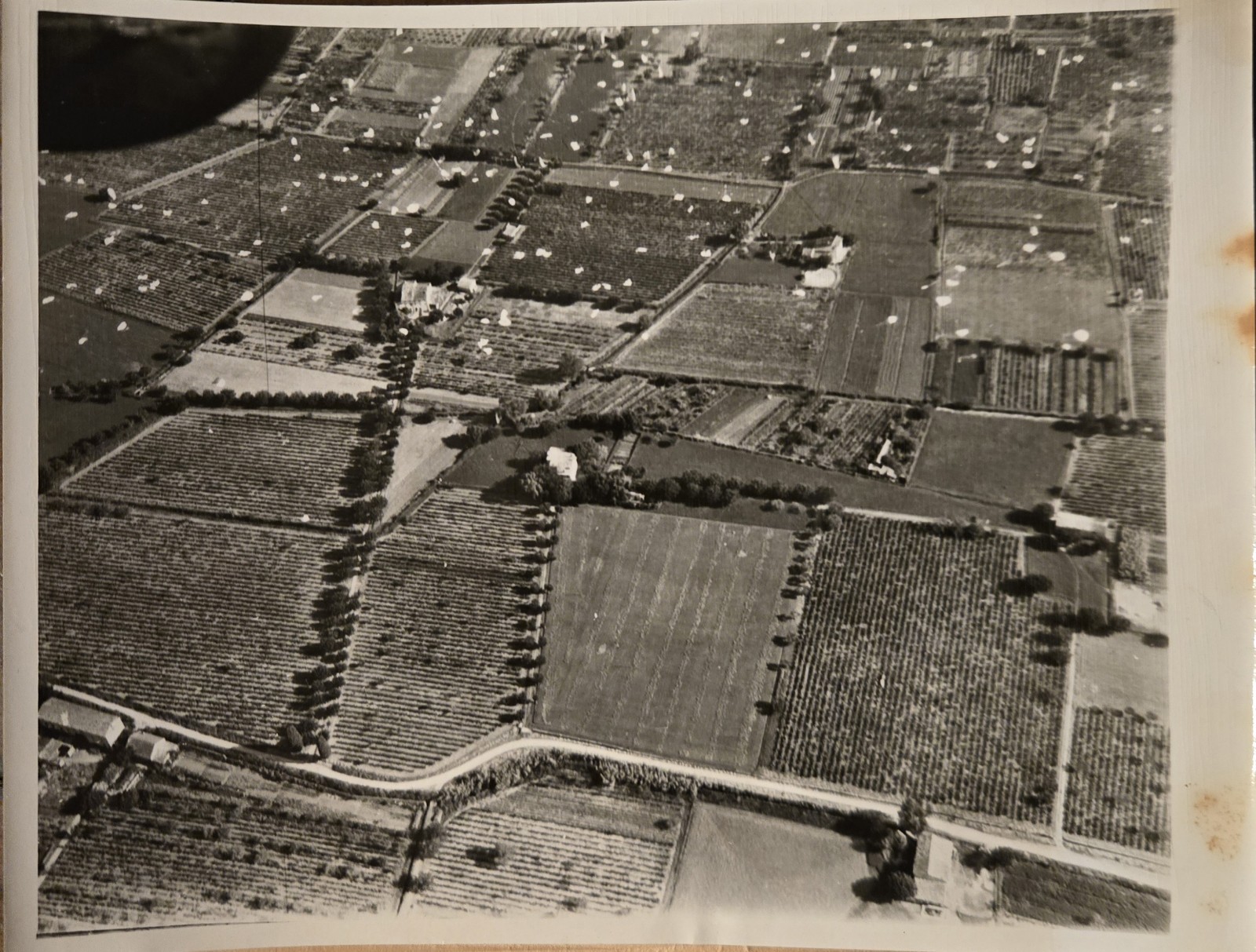 WWII Paratroopers Southern France Airborne Invasion 1944 Parachutes Original...