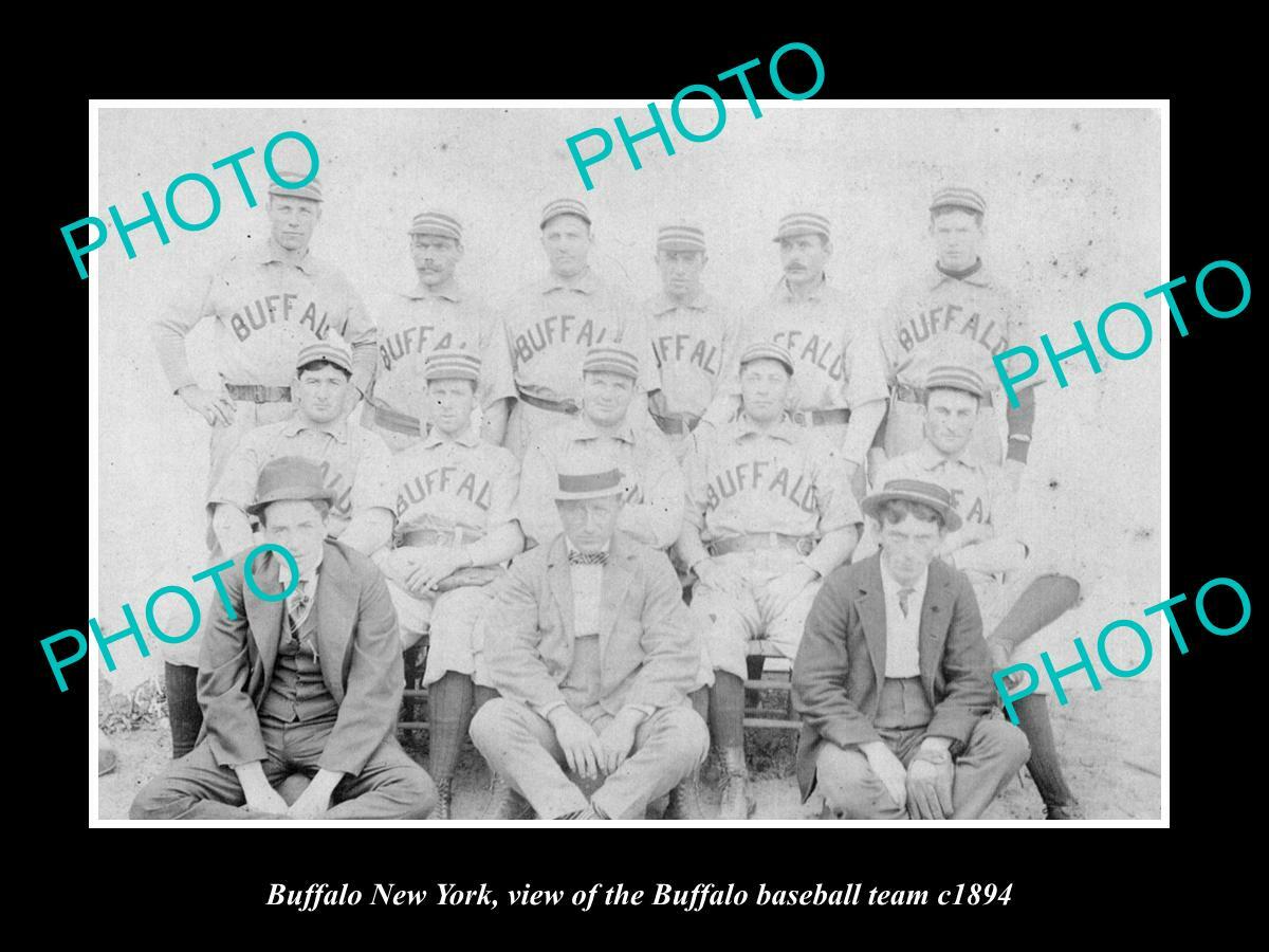 OLD 8x6 HISTORIC PHOTO OF BUFFALO NEW YORK THE 1894 BUFFALO BASEBALL TEAM