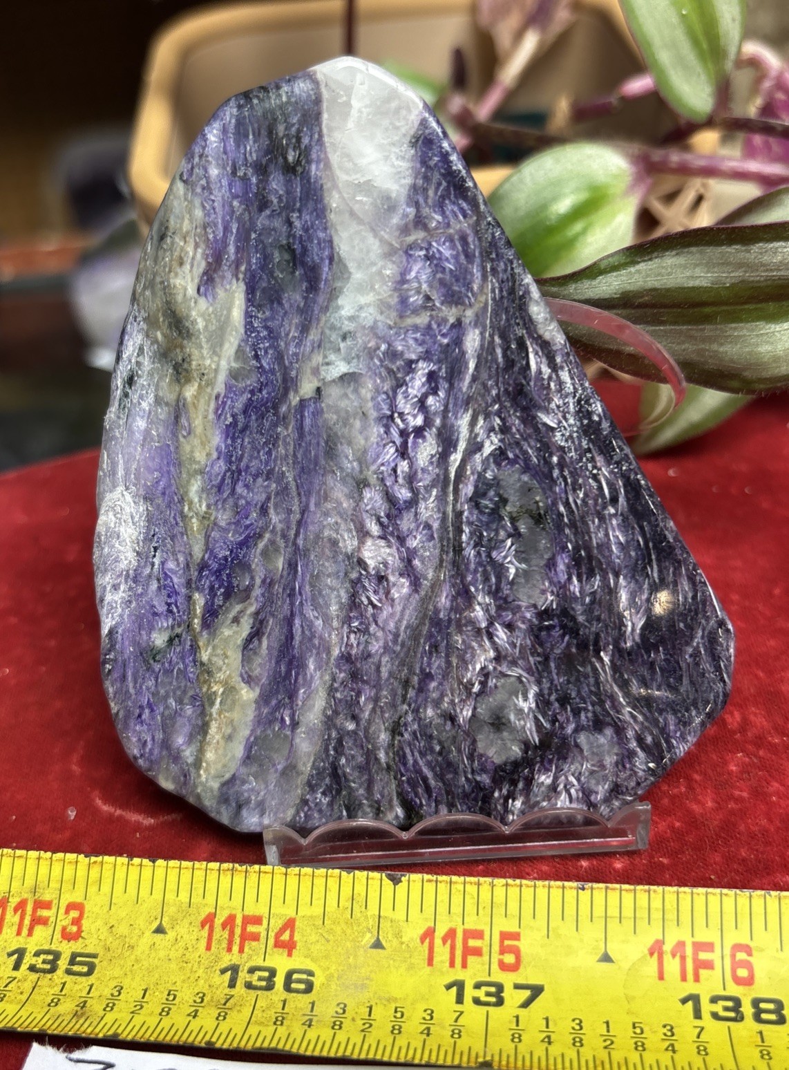 rle CHAROITE SLAB, RUSSIA, GREAT QUALITY 98.3 grams PURPLE 3.25” x 2.75”x 0.25”