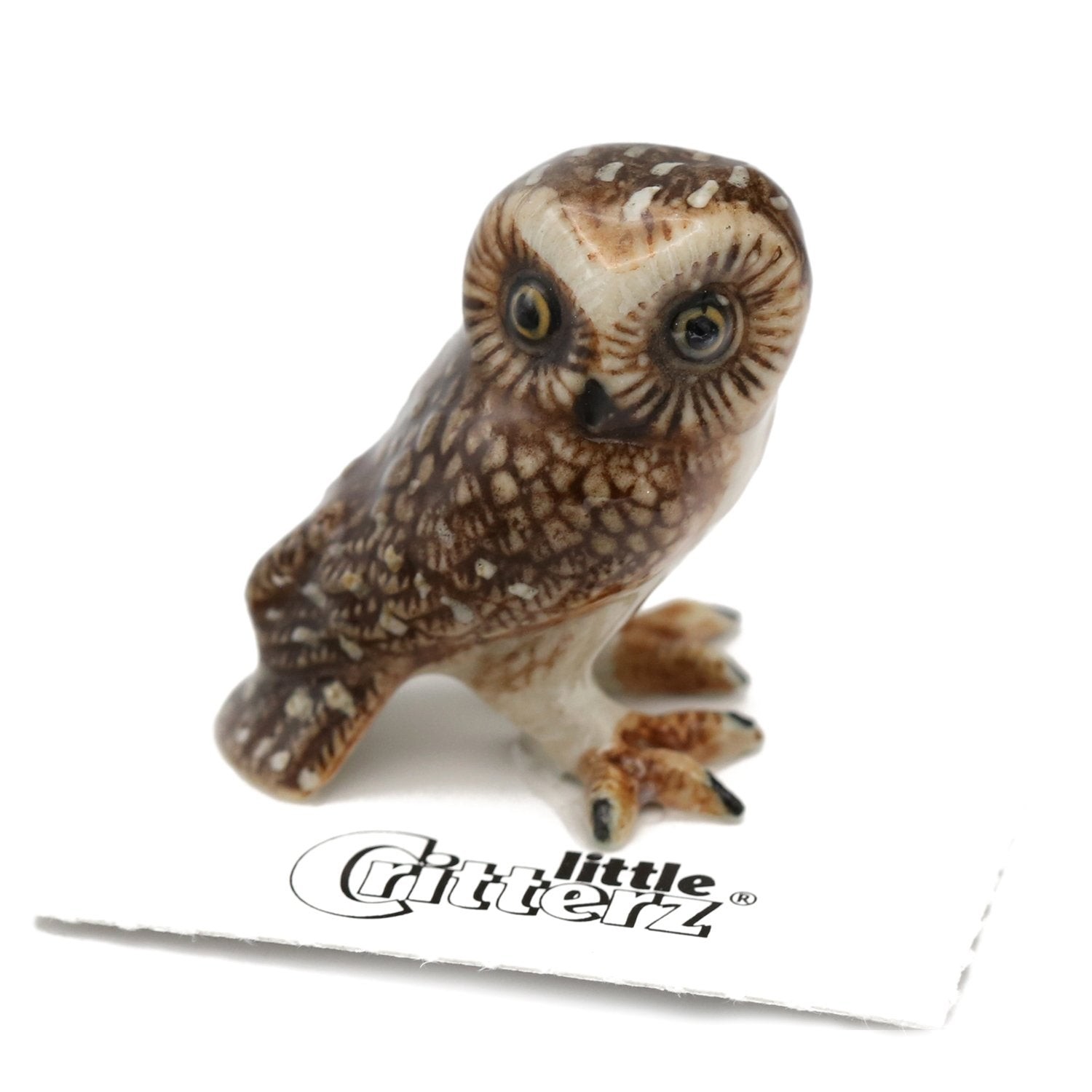 Little Critterz Owl- Saw whet Owl \