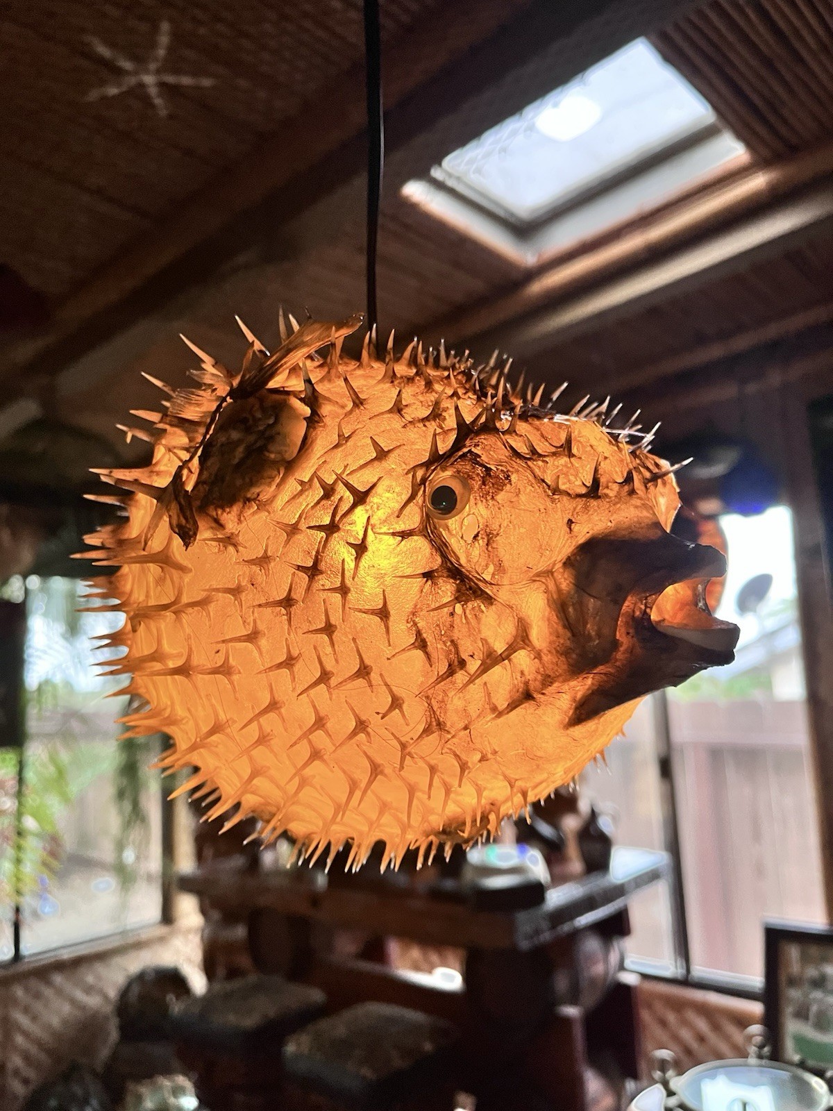 NEW 12”-13” Pufferfish Lamp w/yellow LED Tiki bar Smokin Tikis Oceanic