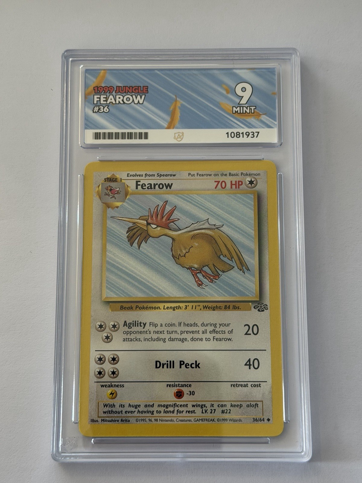 1999, Fearow, #36, Jungle, ACE 9