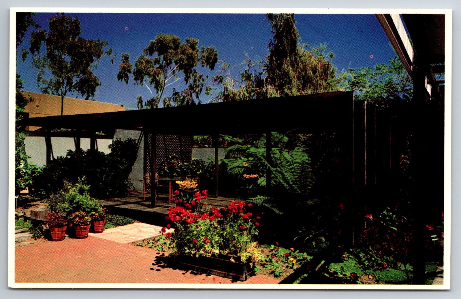 CA, Arcadia, Lost Angeles State and County Arboretum, Vintage Postcard